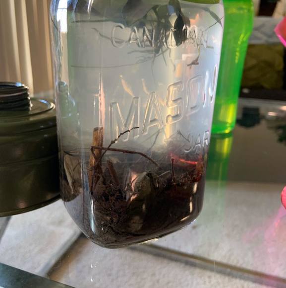 Meet your Posher, Keaton - Picture 1 of 1